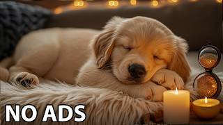 12 Hours Dogs Sleep Music 💞 Relaxing Calming Music for Dogs 🐶Cure Separation Anxiety Music for Dogs screenshot 1
