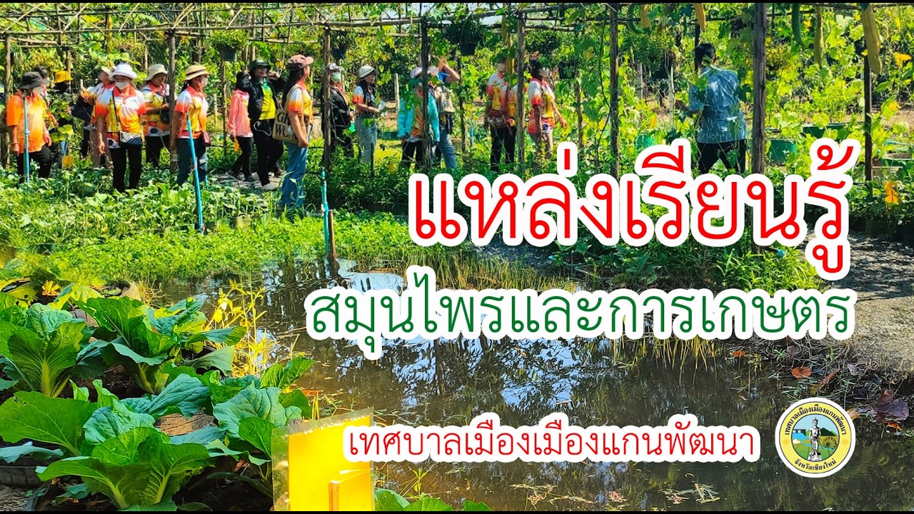 แหล่งเรียนรู้สมุนไพรและการเกษตร เทศบาลเมืองเมืองแกนพัฒนา