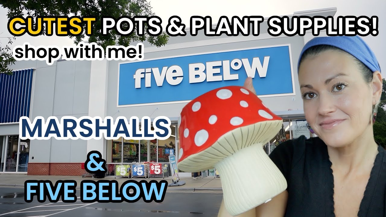 Marshalls Has THE CUTEST Pots & Plant Stands Right Now! Five Below