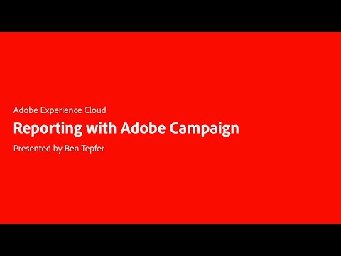 Reporting with Adobe Campaign: A Marketer's Guide for Using Dynamic Data