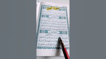 #سورة_الفيل #ماهر_المعيقلي #صوت_الهداية #قرآن #القرآن_الكريم
