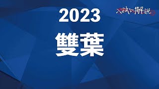 合格者復元答案集 2015-2023年度　入試過去問解答解説　NN雙葉 早稲アカ NN雙葉中 合格者復元答案集 2025年オープン模試等