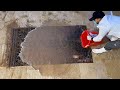 This is no brown carpet  the transformation is amazing  carpet cleaning satisfying asmr