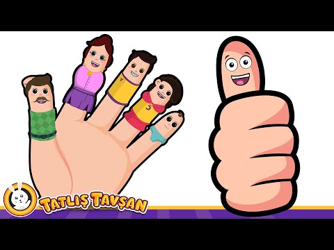 Ellerim Tombik Tombik · Baş Parmağım Neredesin · Finger Family · 4 Şarkı · Tatlış Tavşan