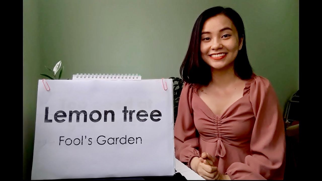 Học bài hát tiếng anh | LEMON TREE (Fool's Garden) Học tiếng Anh qua bài hát Thảo Kiara