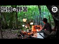 【神秘の森】富士山麓の青木ヶ原樹海で孤独を楽しむ。