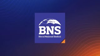 Mesajul BNS Tineret în Parlamentul European - Impactul Digital Services Act asupra utilizatorilor