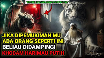 PERHATIKAN SEKITAR PEMUKIMAN MU❗ CIRI-CIRI ORANG YANG DIDAMPINGI KHODAM HARIMAU PUTIH SAKTI