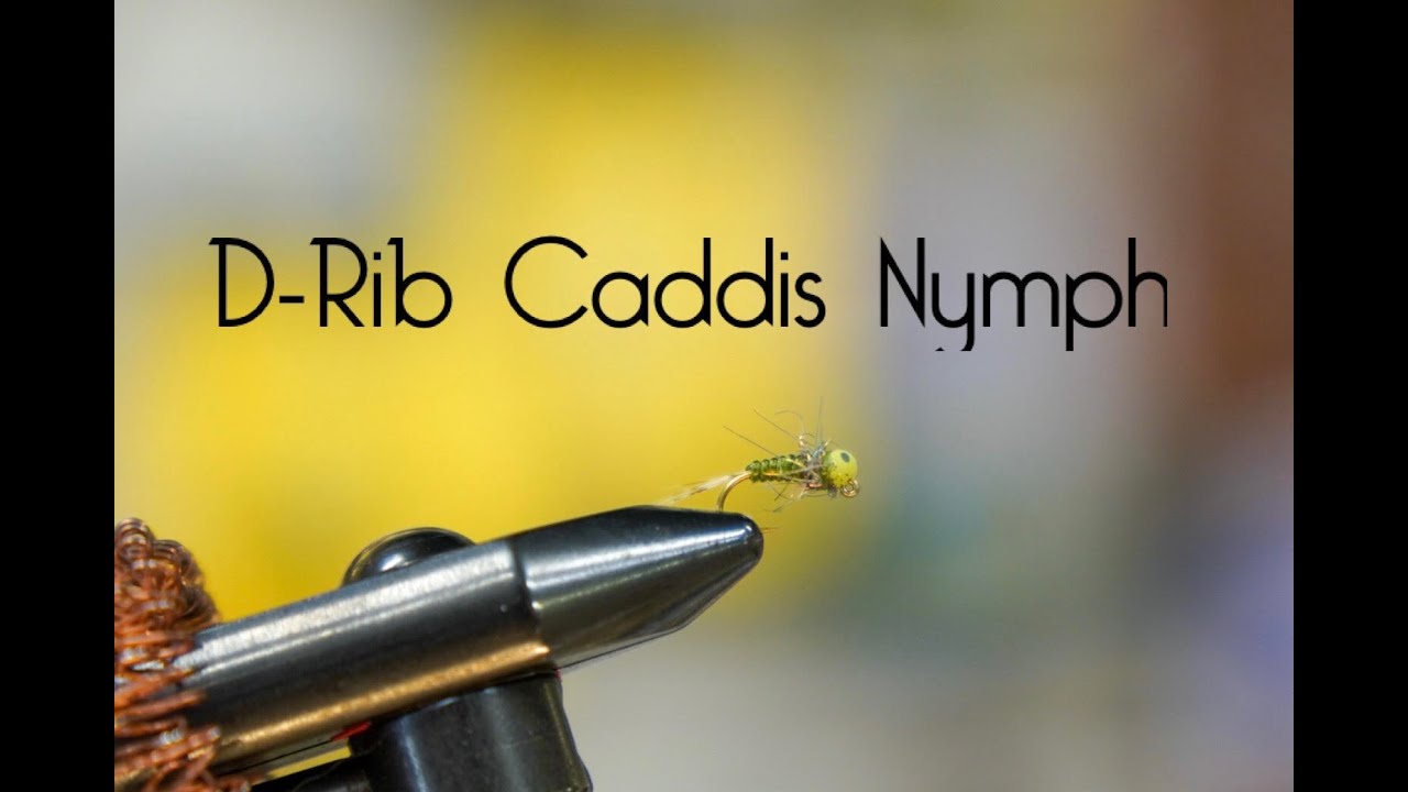 How to tie a Rib Caddis Nymph (Best Nymph for the Driftless) - YouTube