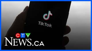 Man who made TIkTok posts about ISIS has been arrested