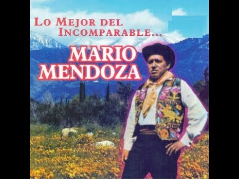 MARIO MENDOZA DAMAZO