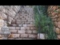 يا طير طاير من فوق سهلة سلم عالضيعة وبوسلي أهلي