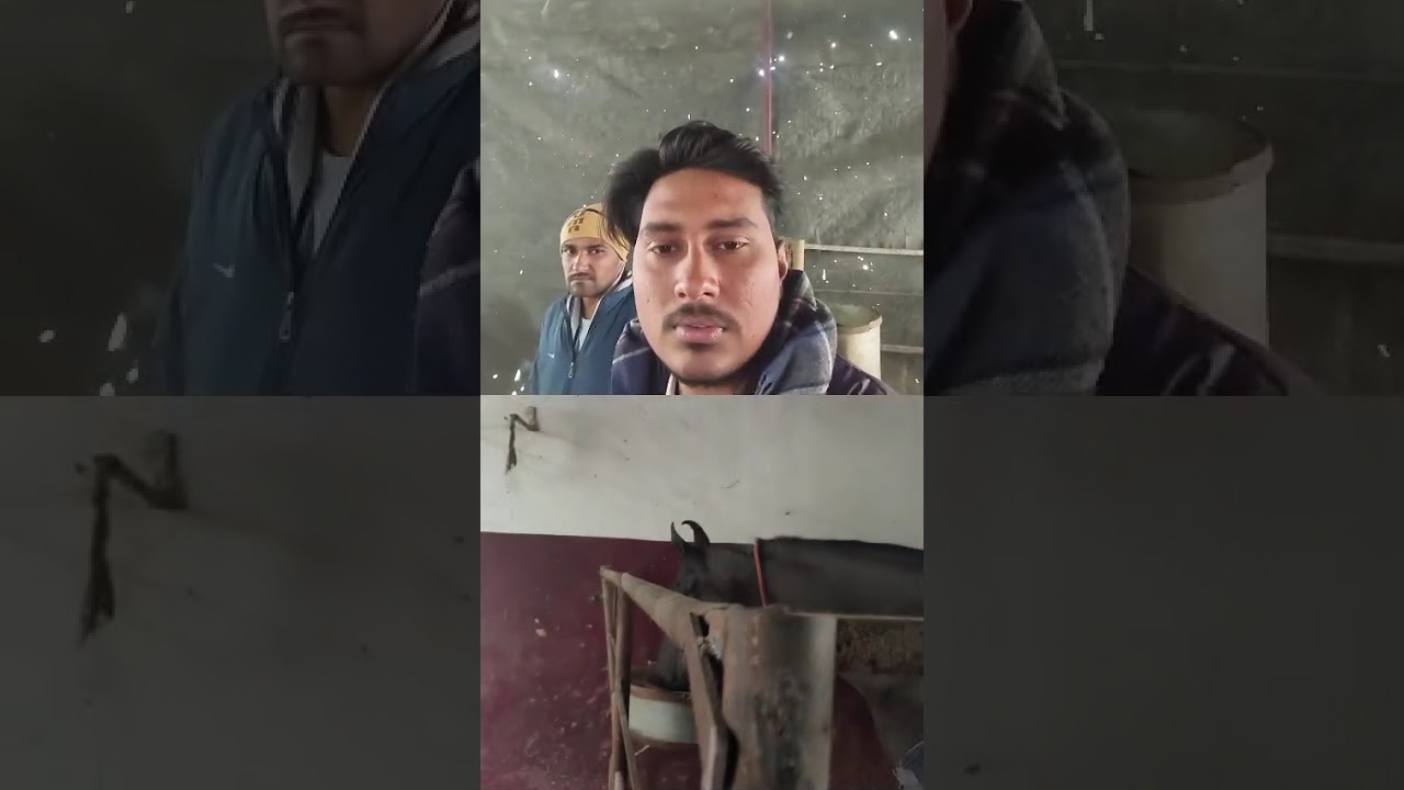 40 लाख की कात्यानी घोड़ी