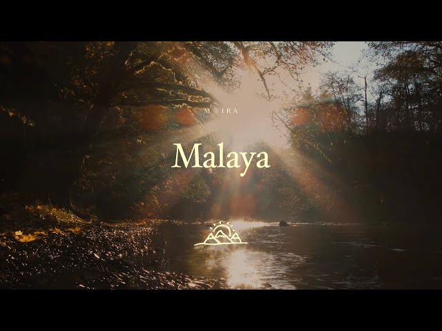 Malaya- Moira Dela Torre (Halfway Point) | Lyric Video class=