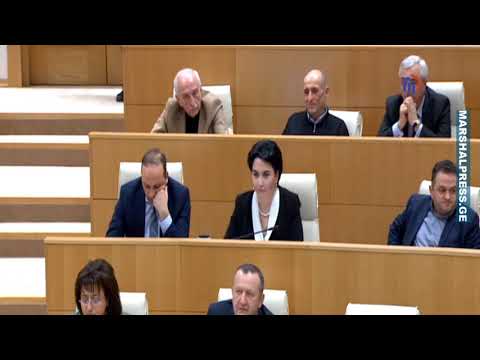 ეკა ბესელიას კანონპროექტი ჩავარდა