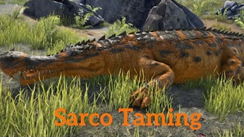 Easy Sarco Taming in Ark: Survival Evolved!