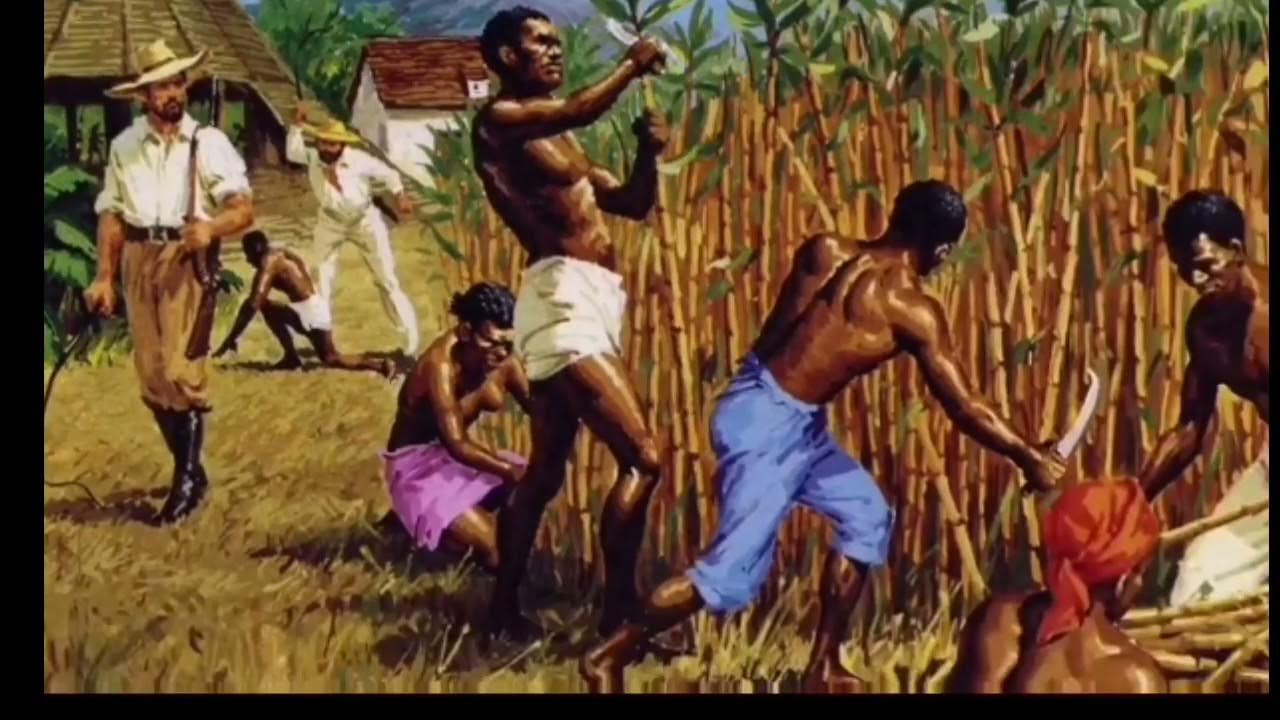 Buck Breaking YouTube