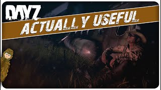 Famous 8 USEFUL Tips & Tricks No One Ever Told You in DayZ Profile