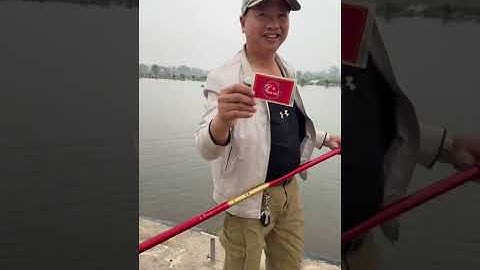 Vlogs 362 Báo cá - Hồ Câu Đài 81 0972613545 Tỳ Điện, Lương Tài, Bắc Ninh || Thầy Duy Vlogs 