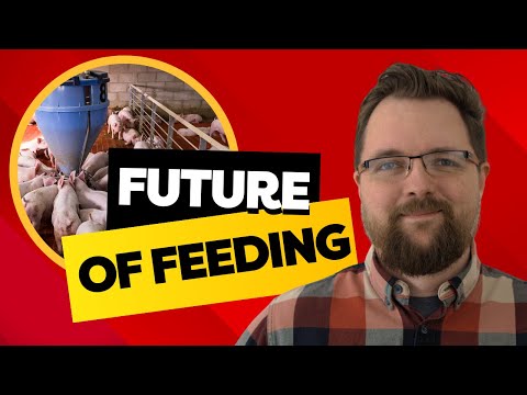 Casey Forsyth: Data-Driven Swine Feed