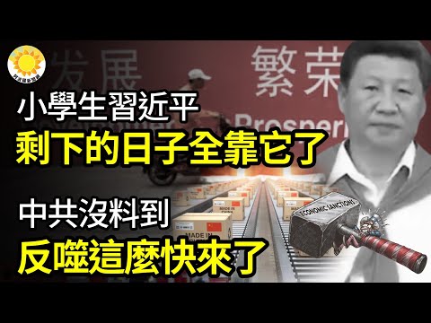 ?小学生习近平剩下的日子全靠它了;北京没料到 反噬这么快来了;知名金融博客:第三世界大战将爆发?以色列回击伊朗 美国官员希望是周六;以民调:认为若会破坏盟邦关系就不要回击伊朗【阿波罗网JS】