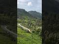 3rd day Kotagiri #travel #nilgiris #vlogs #kotagiri #minivlogs #shorts #ooty