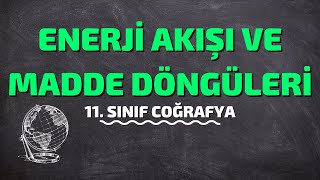 11.Sınıf Coğrafya Enerji Akışı Ve Madde Döngüleri