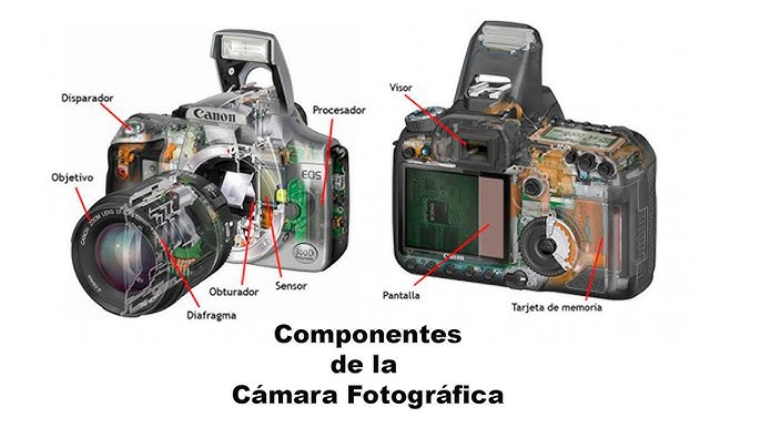 Cómo funciona una cámara digital? - Icarito