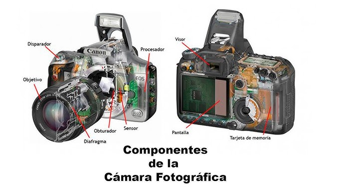 Cómo funciona una cámara digital? 
