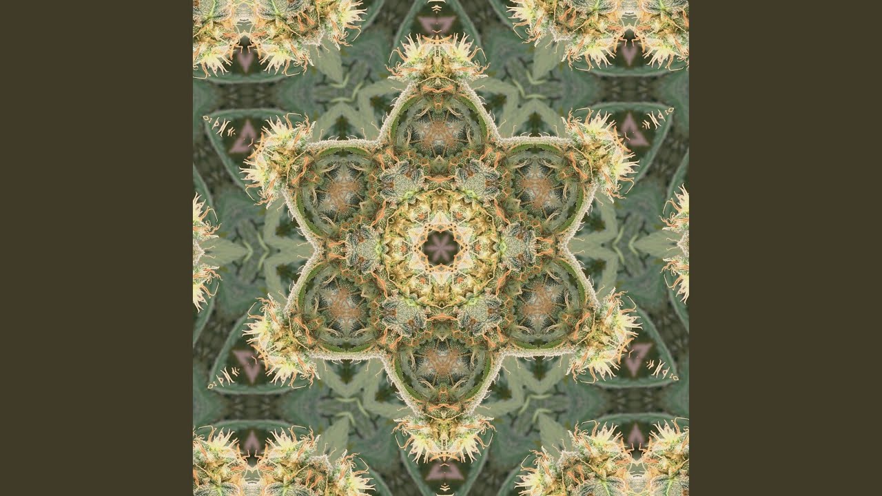 Calming Handpan, B Golden Arcadia Scale, Soft Ethereal