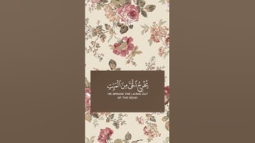 تلاوة خاشعة #تلاوة_خاشعة #تلاوة_هادئة #تلاوات #القرآن_الكريم #اكسبلور #لايك #quran #الله