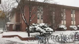 Allen Hall