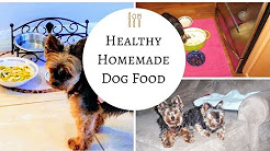 How to make Homemade Dog Food - So Easy and So Good for your dogs