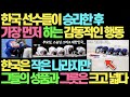 한국 선수들이 승리한 후 가장 먼저 하는 감동적인 행동 l 한국은 작은 나라지만 성품과 그릇은 크고 넓은 진정한 대국이다