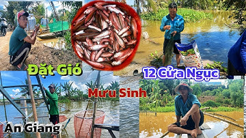 An Giang cả Xóm Kéo Vó 12 cửa ngục trúng bầy Cá Linh khủng | Mưu sinh mùa nước nổi 2025.