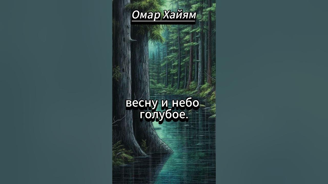 #shorts В одно окно смотрели двое - YouTube