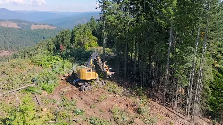 Idaho Logging - Feller Buncher - Hot Saw 2 - Tigercat LX830D
