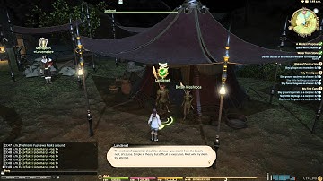FFXIV ARR - Main Quest Lv.30 - A Modest Proposal 02