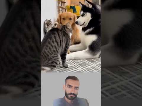 بين شجاعة صامتة وخوف ظريف كانت الحكاية مضحكة أكثر من أن ت روى