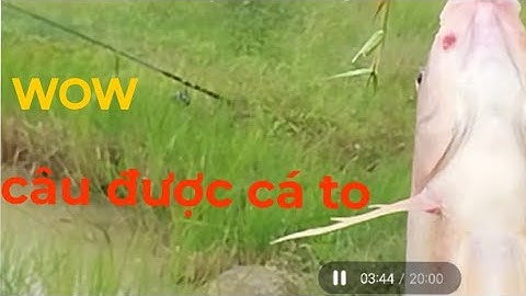 câu cá sông Vàm Cỏ và cái kết