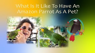 What Is It Like To Have An Amazon Parrot As A Pet