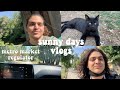 BİRKAÇ GÜNLÜK VLOG ☀️🌻🌳 | Güneşli Günler, Yaz Akşamları, Metro Market, Piknik