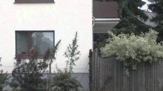 CANNABIS PLANTS GROWN NEAR A HIGHSCHOOL BUSSTOP