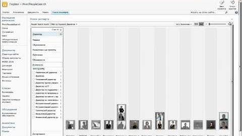 Microsoft PivotViewer binded to FAST search