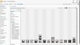 Microsoft PivotViewer binded to FAST search