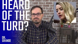 Did Amber Heard Deliver the "Poo de Grâce?" | Johnny Depp / Amber Heard Case Analysis