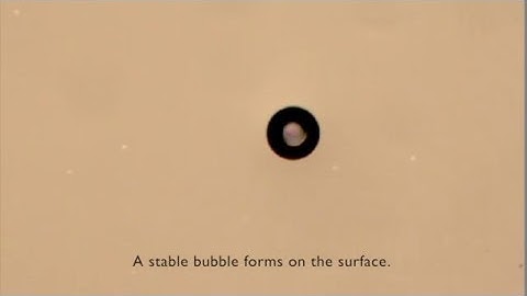 Steady state vapor bubble in pool boiling