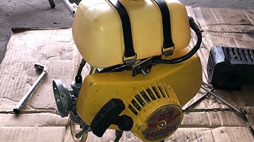 Đã xong 1 em robin 03