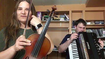 Day 103 - “Fiddle Strings” - Patti Kusturok’s 365 Days of Fiddle Tunes