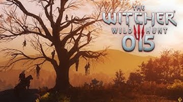 The Witcher 3: Wild Hunt [HD/Blind] 100% Playthrough part 15 (The Nilfgaardian Connection)